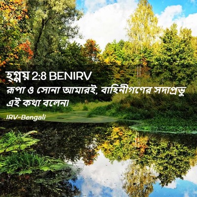 Picture 02 - হ্গ্গয় 2:8 BENIRV - রূপা ও সোনা আমারই, - Bible Verse Picture