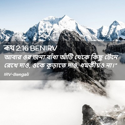 Picture 02 - ৰূথ 2:16 BENIRV - আবার ওর জন্য বাঁধা - Bible Verse Picture