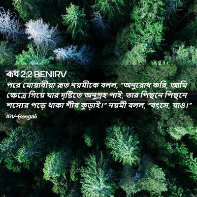 Picture 02 - ৰূথ 2:2 BENIRV - পরে মোয়াবীয়া - Bible Verse Picture