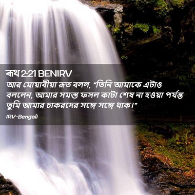 Picture 02 - ৰূথ 2:21 BENIRV - আর মোয়াবীয়া রূত - Bible Verse Picture