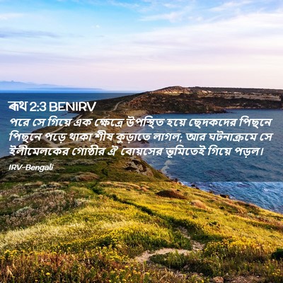 Picture 02 - ৰূথ 2:3 BENIRV - পরে সে গিয়ে এক - Bible Verse Picture
