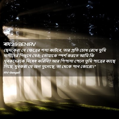 Picture 02 - ৰূথ 2:9 BENIRV - ছেদকেরা যে - Bible Verse Picture