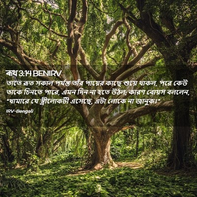 Picture 02 - ৰূথ 3:14 BENIRV - তাতে রূত সকাল - Bible Verse Picture