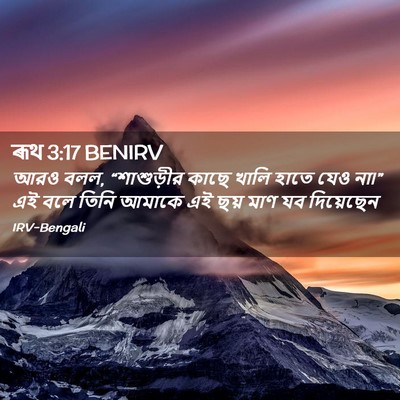 Picture 02 - ৰূথ 3:17 BENIRV - আরও বলল, “শাশুড়ীর - Bible Verse Picture