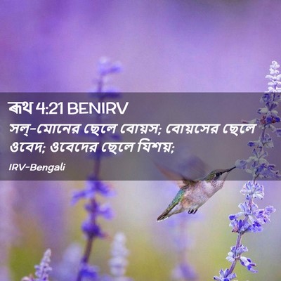 Picture 02 - ৰূথ 4:21 BENIRV - সল্-মোনের ছেলে - Bible Verse Picture