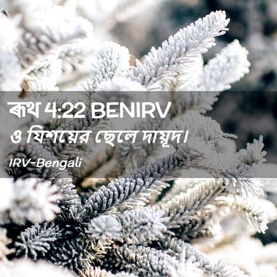 Picture 02 - ৰূথ 4:22 BENIRV - ও যিশয়ের ছেলে - Bible Verse Picture