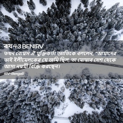 Picture 02 - ৰূথ 4:3 BENIRV - তখন বোয়স ঐ - Bible Verse Picture
