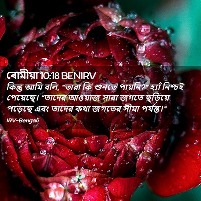 Picture 02 - ৰোমীয়া 10:18 BENIRV - কিন্তু আমি বলি, - Bible Verse Picture