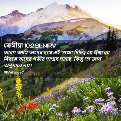 Picture 02 - ৰোমীয়া 10:2 BENIRV - কারণ আমি তাদের - Bible Verse Picture
