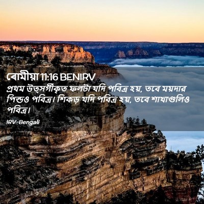 Picture 02 - ৰোমীয়া 11:16 BENIRV - প্রথম উত্সর্গীকৃত - Bible Verse Picture
