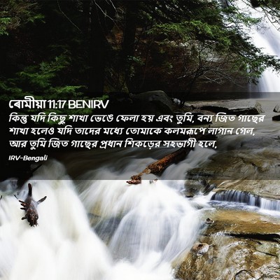 Picture 02 - ৰোমীয়া 11:17 BENIRV - কিন্তু যদি কিছু - Bible Verse Picture