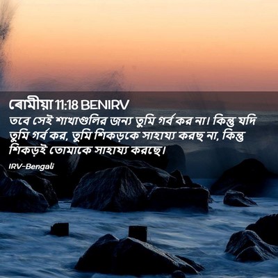 Picture 02 - ৰোমীয়া 11:18 BENIRV - তবে সেই শাখাগুলির - Bible Verse Picture