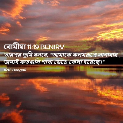 Picture 02 - ৰোমীয়া 11:19 BENIRV - তারপর তুমি বলবে, - Bible Verse Picture