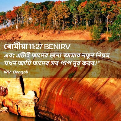 Picture 02 - ৰোমীয়া 11:27 BENIRV - এবং এটাই তাদের - Bible Verse Picture