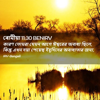 Picture 02 - ৰোমীয়া 11:30 BENIRV - কারণ তোমরা যেমন - Bible Verse Picture