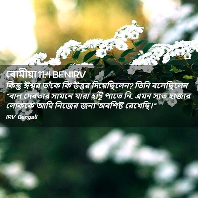 Picture 02 - ৰোমীয়া 11:4 BENIRV - কিন্তু ঈশ্বর - Bible Verse Picture