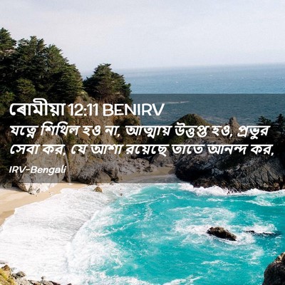 Picture 02 - ৰোমীয়া 12:11 BENIRV - যত্নে শিথিল হও না, - Bible Verse Picture