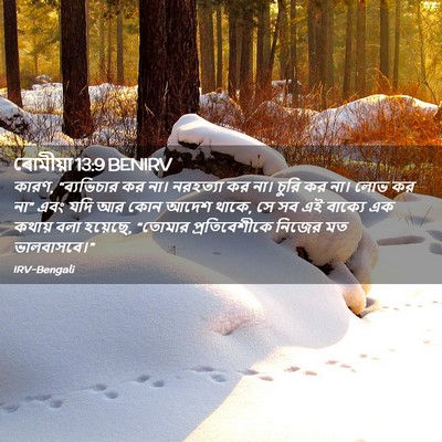 Picture 02 - ৰোমীয়া 13:9 BENIRV - কারণ, “ব্যভিচার কর - Bible Verse Picture