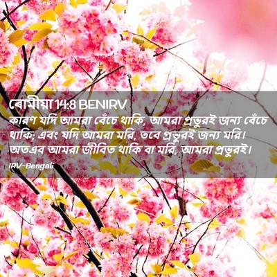 Picture 02 - ৰোমীয়া 14:8 BENIRV - কারণ যদি আমরা - Bible Verse Picture