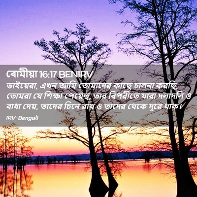 Picture 02 - ৰোমীয়া 16:17 BENIRV - ভাইয়েরা, এখন আমি - Bible Verse Picture