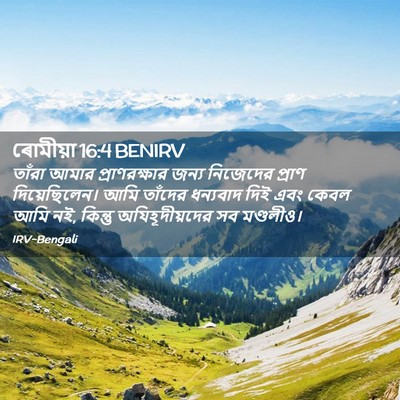 Picture 02 - ৰোমীয়া 16:4 BENIRV - তাঁরা আমার - Bible Verse Picture