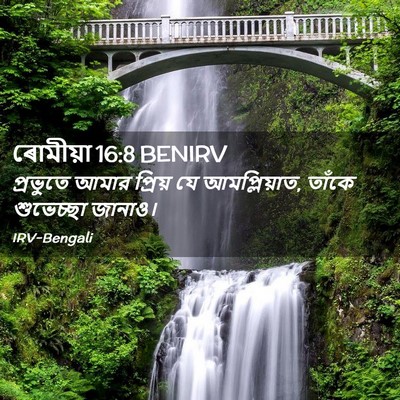 Picture 02 - ৰোমীয়া 16:8 BENIRV - প্রভুতে আমার - Bible Verse Picture