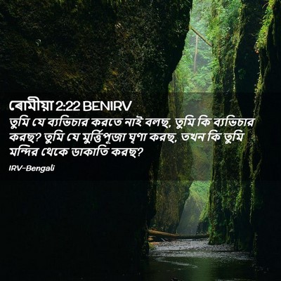 Picture 02 - ৰোমীয়া 2:22 BENIRV - তুমি যে ব্যভিচার - Bible Verse Picture