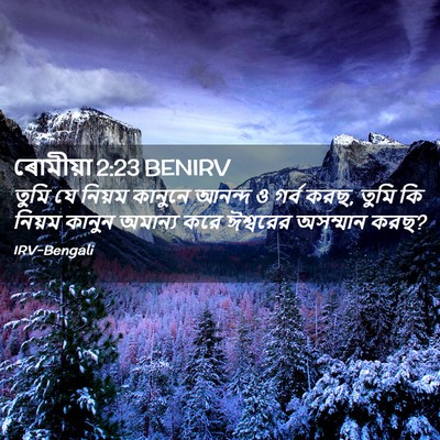 Picture 02 - ৰোমীয়া 2:23 BENIRV - তুমি যে নিয়ম - Bible Verse Picture
