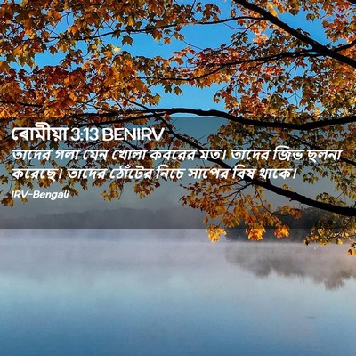 Picture 02 - ৰোমীয়া 3:13 BENIRV - তাদের গলা যেন খোলা - Bible Verse Picture