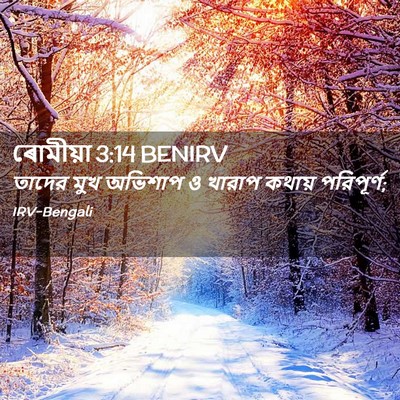 Picture 02 - ৰোমীয়া 3:14 BENIRV - তাদের মুখ অভিশাপ ও - Bible Verse Picture