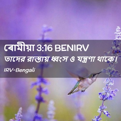Picture 02 - ৰোমীয়া 3:16 BENIRV - তাদের রাস্তায় - Bible Verse Picture