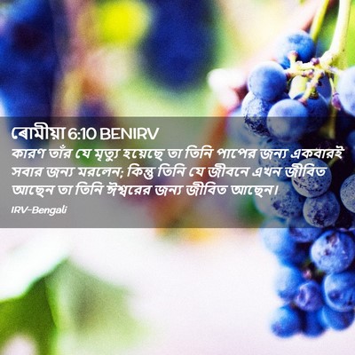 Picture 02 - ৰোমীয়া 6:10 BENIRV - কারণ তাঁর যে - Bible Verse Picture
