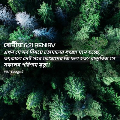 Picture 02 - ৰোমীয়া 6:21 BENIRV - এখন যে সব বিষয়ে - Bible Verse Picture