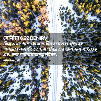 Picture 02 - ৰোমীয়া 6:22 BENIRV - কিন্তু এখন পাপ - Bible Verse Picture