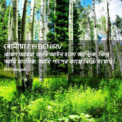 Picture 02 - ৰোমীয়া 7:14 BENIRV - কারণ আমরা জানি আইন - Bible Verse Picture