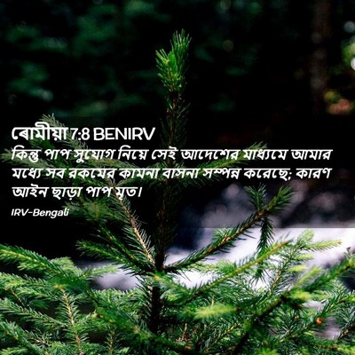 Picture 02 - ৰোমীয়া 7:8 BENIRV - কিন্তু পাপ সুযোগ - Bible Verse Picture