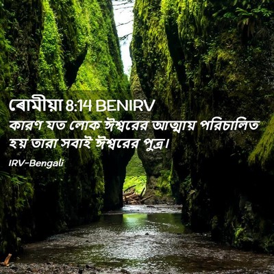 Picture 02 - ৰোমীয়া 8:14 BENIRV - কারণ যত লোক - Bible Verse Picture