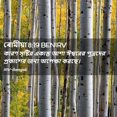 Picture 02 - ৰোমীয়া 8:19 BENIRV - কারণ সৃষ্টির - Bible Verse Picture
