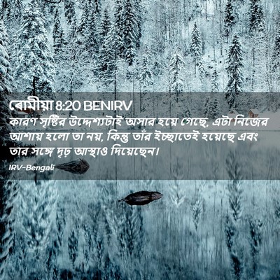 Picture 02 - ৰোমীয়া 8:20 BENIRV - কারণ সৃষ্টির - Bible Verse Picture