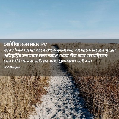 Picture 02 - ৰোমীয়া 8:29 BENIRV - কারণ তিনি যাদের - Bible Verse Picture