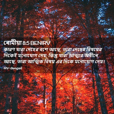 Picture 02 - ৰোমীয়া 8:5 BENIRV - কারণ যারা দেহের - Bible Verse Picture