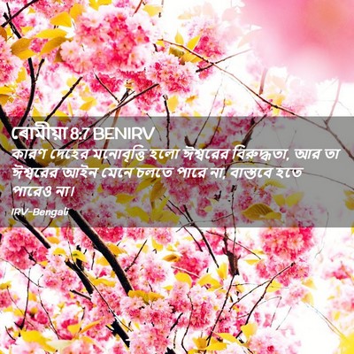Picture 02 - ৰোমীয়া 8:7 BENIRV - কারণ দেহের - Bible Verse Picture