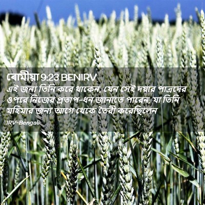 Picture 02 - ৰোমীয়া 9:23 BENIRV - এই জন্য তিনি করে - Bible Verse Picture