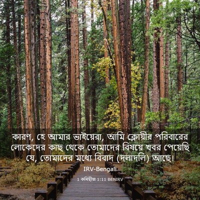 Picture 03 - 1 কৰিন্থীয়া 1:11 BENIRV - কারণ, হে আমার - Bible Verse Picture
