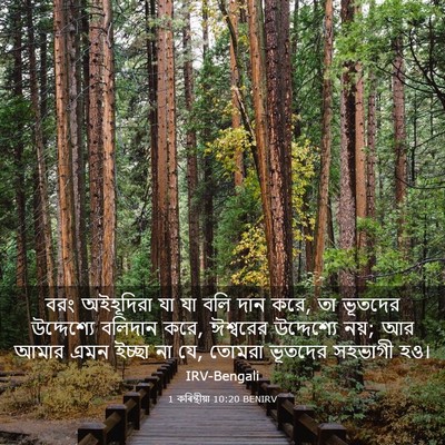 Picture 03 - 1 কৰিন্থীয়া 10:20 BENIRV - বরং অইহূদিরা যা যা - Bible Verse Picture