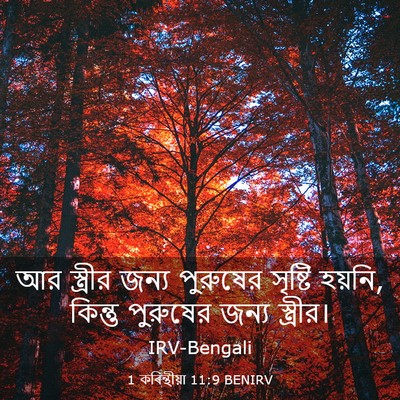 Picture 03 - 1 কৰিন্থীয়া 11:9 BENIRV - আর স্ত্রীর জন্য - Bible Verse Picture