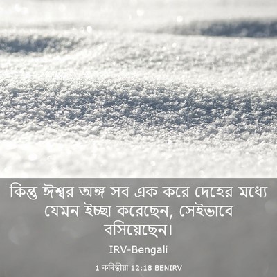 Picture 03 - 1 কৰিন্থীয়া 12:18 BENIRV - কিন্তু ঈশ্বর অঙ্গ - Bible Verse Picture