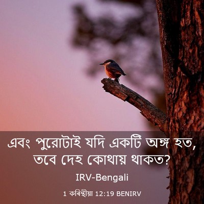 Picture 03 - 1 কৰিন্থীয়া 12:19 BENIRV - এবং পুরোটাই যদি - Bible Verse Picture