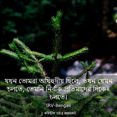 Picture 03 - 1 কৰিন্থীয়া 12:2 BENIRV - যখন তোমরা - Bible Verse Picture