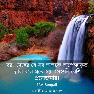 Picture 03 - 1 কৰিন্থীয়া 12:22 BENIRV - বরং দেহের যে সব - Bible Verse Picture